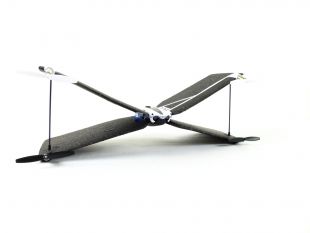 Parrot-Swing-10