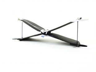 Parrot-Swing-11