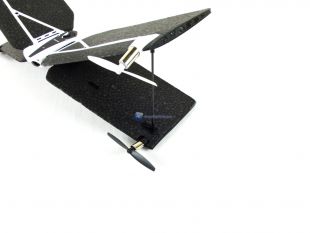 Parrot-Swing-12