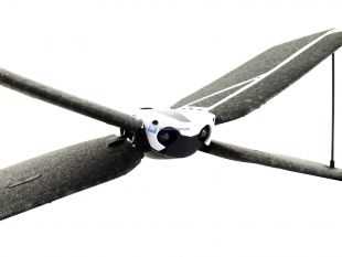 Parrot-Swing-15