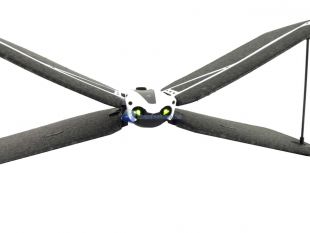 Parrot-Swing-29