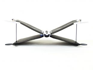 Parrot-Swing-9